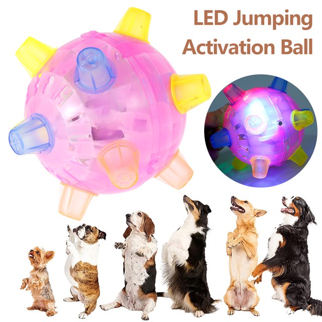 pelota vibrante que rebota intermitente plástico seguro ilumina la música pelota intermitente juguete alimentado por batería interesante perro salto bola de activación para niños mascotas deportes al Vistoso. Pelota esférica translúcida rosa con picos cortos multicolores y luz LED interna visible, vista frontal que muestra textura plástica y orificio de activación; inserto circular muestra la pelota encendida; perros en postura de salto ilustran uso en juego. A menudo usada para estimular el juego activo de mascotas.