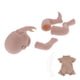 thumbnail image 3 of Juego de muñecas kit de muñecas en blanco larga vida útil suave fácil de montar para regalo para sus hijos ANGGREK Otros, 3 of 8