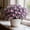 D, variant on Butterfly Flower Hostas Cultivation Granules,Bloom Year After Year-(Non-Artificial)-Fast Growing-Home Decoration-Beautiful Gift Garden-Ornamental-Premium Garden Stakes