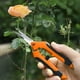 thumbnail image 4 of Tijeras de jardinería de color naranja, tijeras de podar, tijeras para frutas y verduras, tijeras para podar árboles frutales, tijeras para recoger uvas, herramientas de jardinería de acero inoxidable, 4 of 6