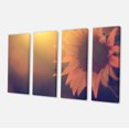 thumbnail image 2 of Vintage Photo Of Sunflower Close up - Large Floral Canvas Art Print, 2 of 3