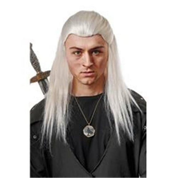 Mens Medieval Lord Knight Witcher Halloween Costume Wig, Grey