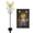 Yellow, variant on DAMAI Solar Fairy Angel Garden Stake Lights, Angel Solar Lights for Cemetery, LED Angel Solar Landscape Decorative Lights,Waterproof Solar Decorations for Backyard, Lawn, Pathway, Memorial Garden