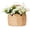 Large, variant on Door Basket Scalloped Storage Basket,Water Hyacinth Woven Wall Baskets for Front Door Decor, Hangable Storage Organize for ,Planter,Mails,Wicker Baskets for Organizing Garden - S