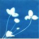 thumbnail image 4 of Kit de papel SunPrint Sunprint con 15 hojas y revestimiento acrílico, 4 of 8