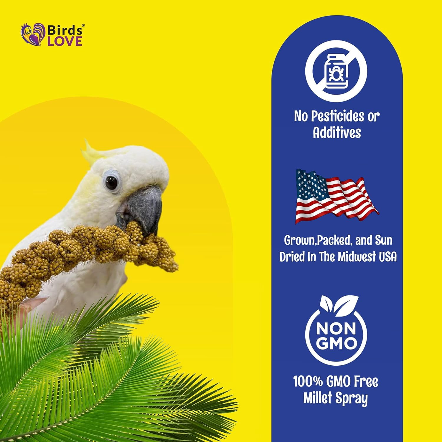 Birds LOVE Economy & Special Spray Millet for Birds, No Stems Non-GMO Sun-Dried Edible Millet Tops for Cockatiels, Lovebirds, Parakeets, Finches & Canaries, 2 lb