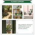 thumbnail image 3 of Gardening Trellis Iron Plant Support for Flower Pots Outdoor Indoor Black 2Pack, 3 of 4
