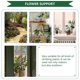 thumbnail image 3 of Gardening Trellis Iron Plant Support for Flower Pots Outdoor Indoor Black 2Pack, 3 of 4
