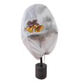 thumbnail image 5 of Campana protectora de plantas en invierno., 5 of 5