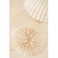 thumbnail image 2 of Karyn Millet 23x32 Gallery Wrapped Canvas Wall Art Titled - Ocean Treasures I, 2 of 4