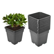 10 Pack Nursery Pots 2 Gallon Garden Planter Plastic Sqaure Seedling Pots White Flower Plant Container for Succulents, Seedlings, Cuttings, Transplanting, Black