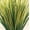 Yellow Green, variant on Collections Etc Decorative Grass Bushes - Set Of 3, Shades Of Red