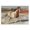 Wild Horse Desert Landscape, variant on Stupell Industries Modern Vibrant Hued Cheetah In Motion Black Floating Frame Canvas Art, 25 x 17, by Chromatic Storm Studio