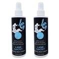 thumbnail image 1 of Kit limpiador en aerosol para bolas de boliche Lane Ghost, paquete de 2 unidades, USBC, 1 of 7