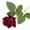 Wine Red, variant on AURORA TRADE Red Roses Artificial Flowers 20 Fake Silk Rose Like Real for Mother's Day Wedding Date Anniversary Decorations 1PCS