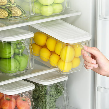 SANNO Fridge Food Storage Containers Produce Saver FreshWorks Produce ...
