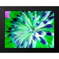 thumbnail image 2 of Grayscale 14x12 Black Modern Framed Museum Art Print Titled - Bright Cluster III, 2 of 5