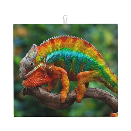

Honeii Chameleon for Dish Drying Mat for Kitchen Counter Non-slip Rubber Backed Hide Stain Kitchen Super Absorbent Draining Mat Dish Rack Pad