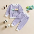 thumbnail image 2 of HCNTES Toddler Clothes for Girls Baby 3D Flower Fall Winter Outfits Sweatshirt Pullover Cute Pants Set(Style4,2-3 Years), 2 of 9