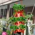 thumbnail image 6 of 2PCS Hanging Tomato Planters Upside Down Topsy Turvy Tomato Planter Tomato Planter Hanging Grow Bags Tomato Growing Kit Breathable Canvas Flower Strawberry Planter Bags HACES03O5FRZOHDS4, 6 of 7