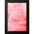 thumbnail image 2 of Millet, Karyn 11x14 Black Modern Framed Museum Art Print Titled - Pink Peony III, 2 of 5