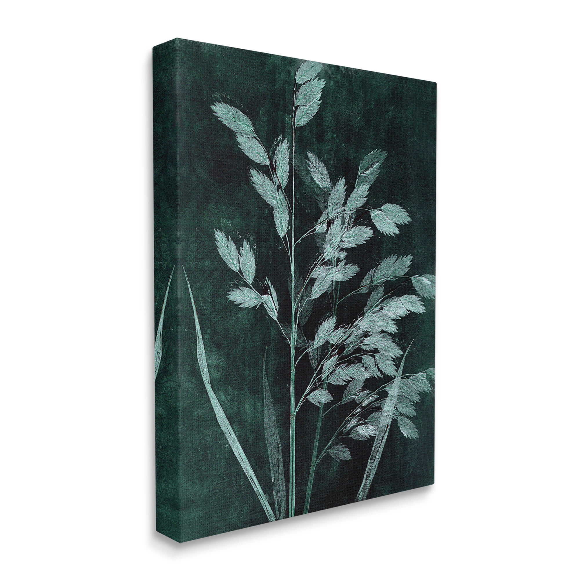 Stupell Industries Green Botanical Imprints Botanical & Floral Painting Gallery Wrapped Canvas Art Print Wall Art, 30 x 40