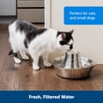 thumbnail image 7 of PetSafe Seaside Stainless Pet Fountain, Automatic Dog and Cat Water Bowl, 60 oz, 7 of 7