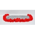 thumbnail image 1 of Soc It Vac N Glo Poussiéreuse Remplacement Pad Rouge, 1 of 1