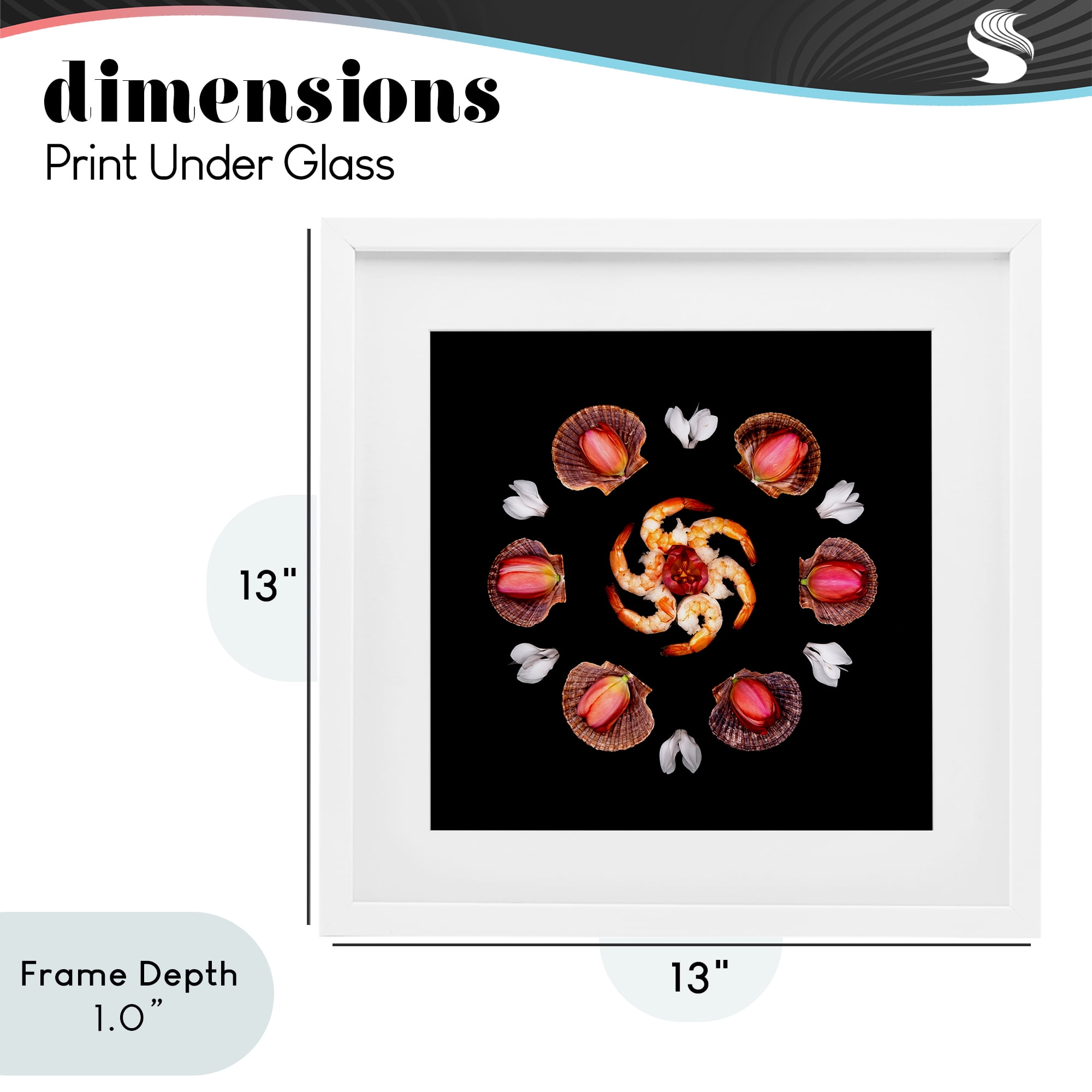 Stupell Industries Seashells & Tulips Symmetry White Framed Print Under Glass, design by Beth Adoette