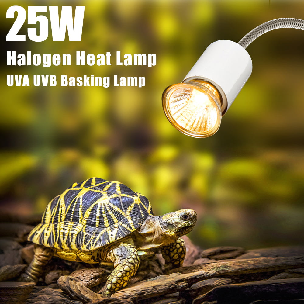 Safe Durable Aquarium Light Reptile Heating Light 25W Heat Lamp Metal for Reptile Lamp for Aquarium Lamp