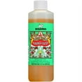 thumbnail image 2 of (6 pack) Benjamins Kananga Water 8 fl oz, 2 of 4