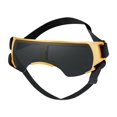 thumbnail image 4 of Gafas De Sol Para Perros A Prueba De Viento Para Perros De Raza Pequeña A Mediana Gafas Doradas Oro Sunnimix Gafas de sol a prueba de viento, 4 of 8