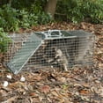 thumbnail image 3 of Cage pour animaux Easy Set de Havahart – Grande, 3 of 3