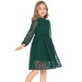 thumbnail image 6 of Arshiner Flypigs Tween Girls Long Sleeve Fall Dresses Swiss Dot Casual Party Dress, 6 of 8