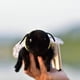 thumbnail image 2 of TAMMYFLYFLY - Juguete de peluche con forma de abeja, muñeco de peluche con forma de abeja, 17cm, 2 of 3