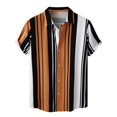 thumbnail image 1 of Camisas Hombre Camisas de un solo pecho de primavera y verano para hombre, camisa informal de manga corta con solapa para playa y vacaciones al libre (Brown, XL), 1 of 7