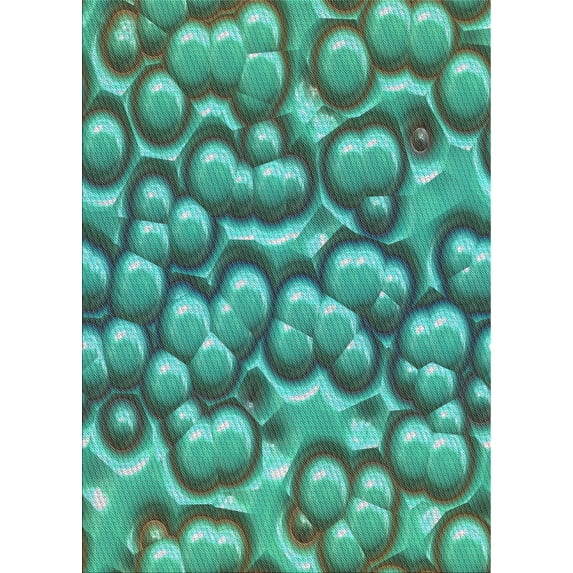 Ahgly Company Indoor Rectangle Patterned Turquoise Green Abstract Area Rugs, 6' x 9'