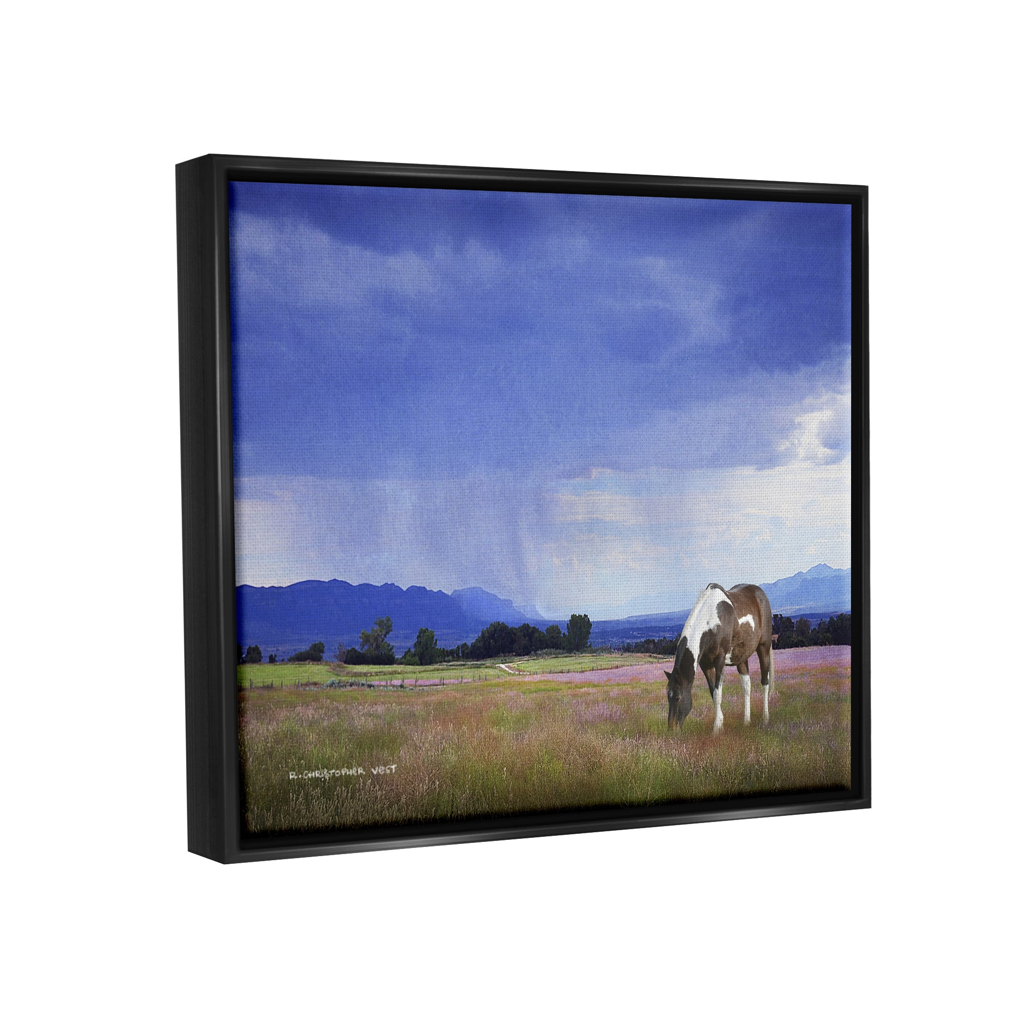 Stupell Spotted Horse Grazing Country Grassland Animals & Insects Photography Black Floater Framed Art Print Wall Art