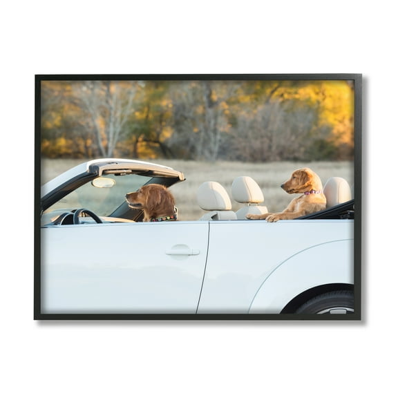Stupell Industries Dogs Driving Convertible Animals & Insects Photography Black Framed Art Print Wall Art, 14 x 11