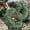 Green, variant on Up to 50% off!Clearance Christmas Ornaments for Christmas New Year Festive Party Supplies on Clearance!