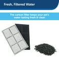 thumbnail image 5 of PetSafe Drinkwell Premium Replacement Carbon Filters, Dog and Cat Water Fountain Filters, 5 of 8