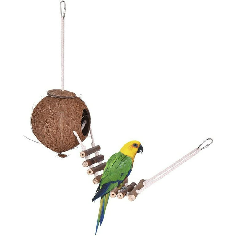 Bird Supplies for Pet Parakeets, Parrots & More