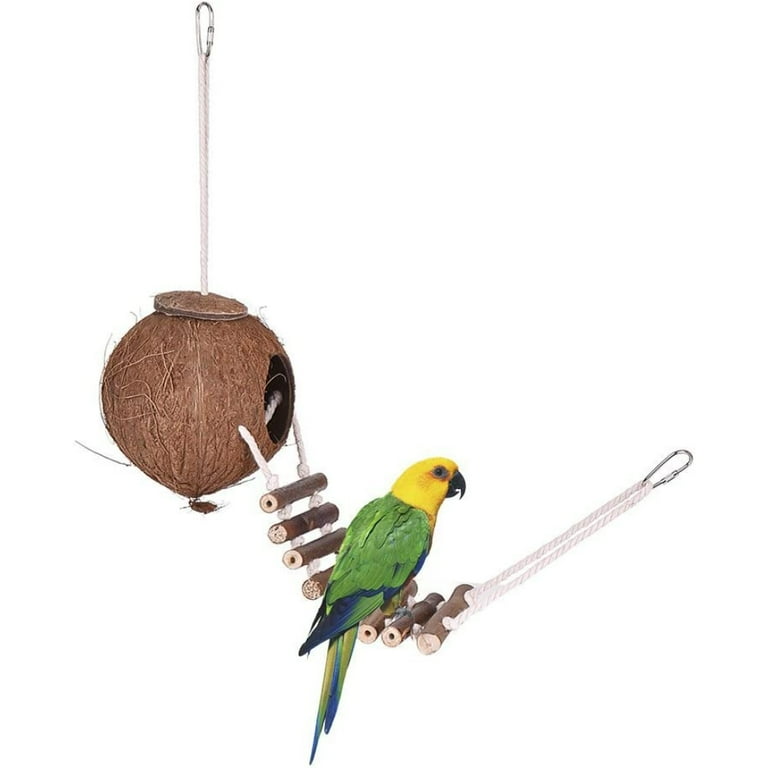 Cockatoo accessories top