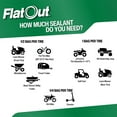 thumbnail image 5 of Flatout Tire Sealant, Leak Repair Bead Formula for Outdoor Power Equipment, 32oz (2 Pack), 5 of 10