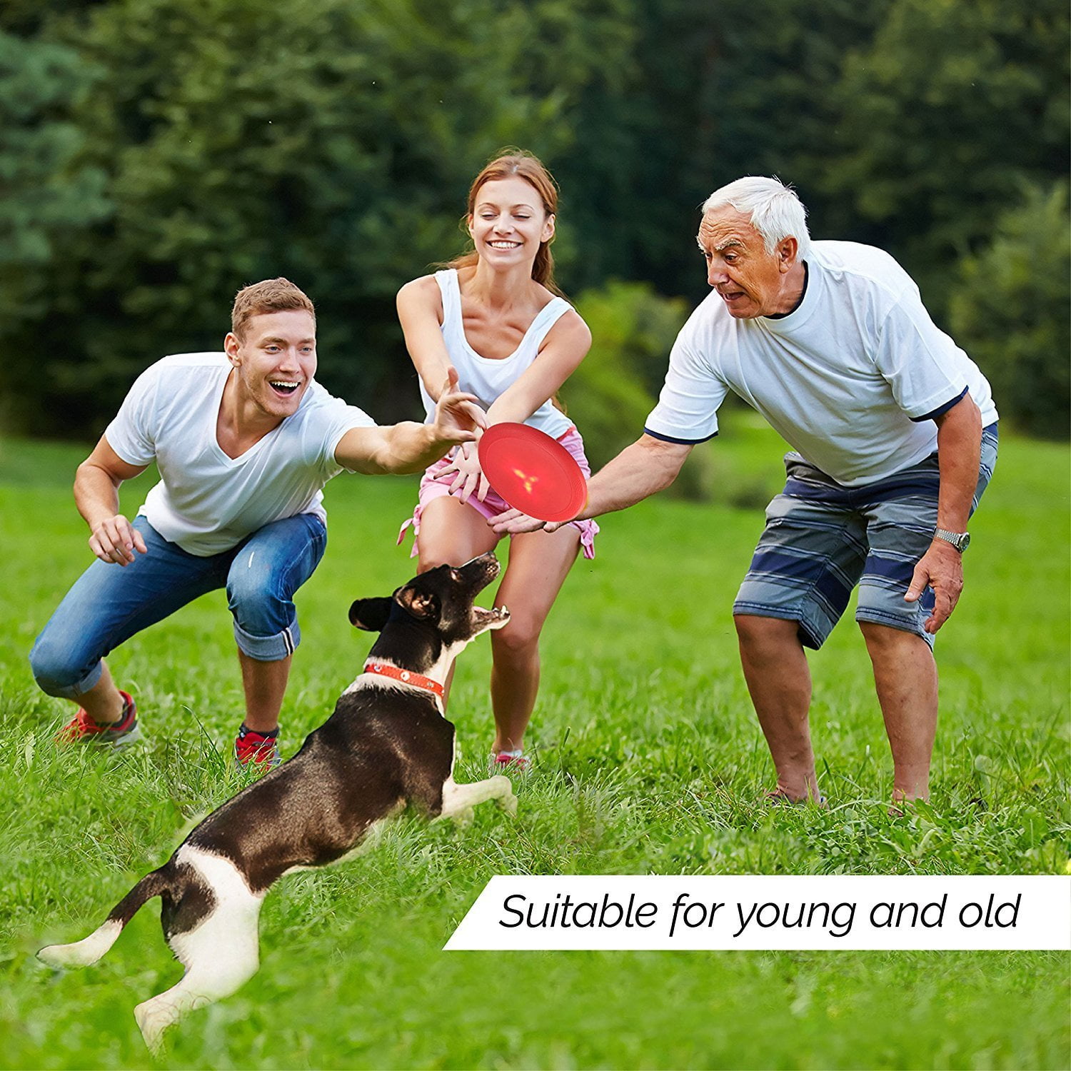 Can All Dogs Play Frisbee