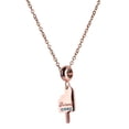 thumbnail image 4 of Charm para Pulsera LuckyLy, Dije de Paleta, Acero Inoxidable y Zirconia Cúbica, Modelo Loly rosa UNITALLA, 4 of 8
