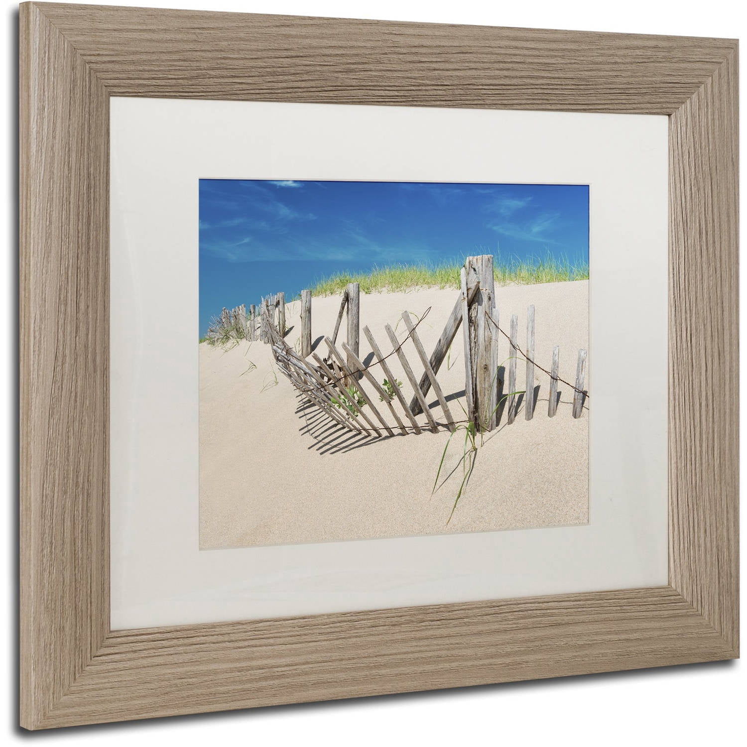 Trademark Fine Art "Worn Beach Fence" Canvas Art by Michael Blanchette Photography White Matte, Birch Frame