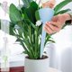 thumbnail image 1 of MTBLYS Sistema de riego por goteo automático: dispositivo de riego lento ajustable con estacas de infiltración para plantas en maceta|jardín|cestas colgantes|invernadero y jardineras exteriores, 1 of 7
