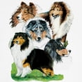 thumbnail image 3 of CafePress - Sheltie Group Sweatshirt - Crew Neck Sweatshirt, 3 of 4