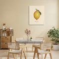 thumbnail image 3 of Stupell Industries French Country Lemon Fruit Portrait Canvas Art, 16 x 20, by Danielle Murray, 3 of 8